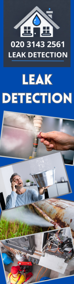 Lower Morden Leak Detection